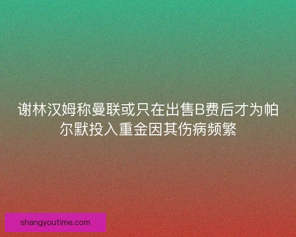 谢林汉姆称曼联或只在出售B费后才为帕尔默投入重金因其伤病频繁
