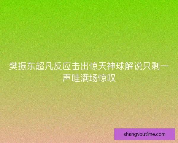 樊振东超凡反应击出惊天神球解说只剩一声哇满场惊叹