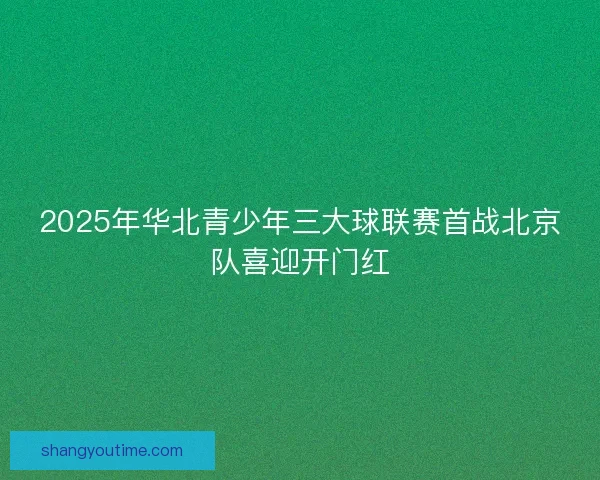 2025年华北青少年三大球联赛首战北京队喜迎开门红